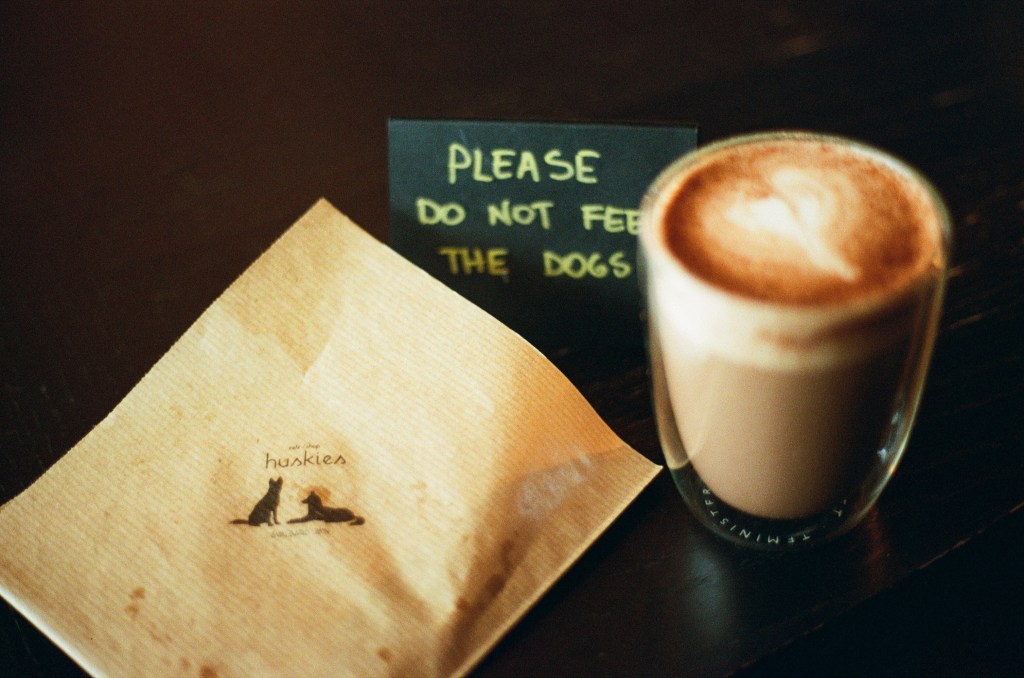 A picture of s sign saying 'please do not feed the dogs' is flanked by a coffee with a heart art on top and a paper bag with 'huskies' atop sit on a table