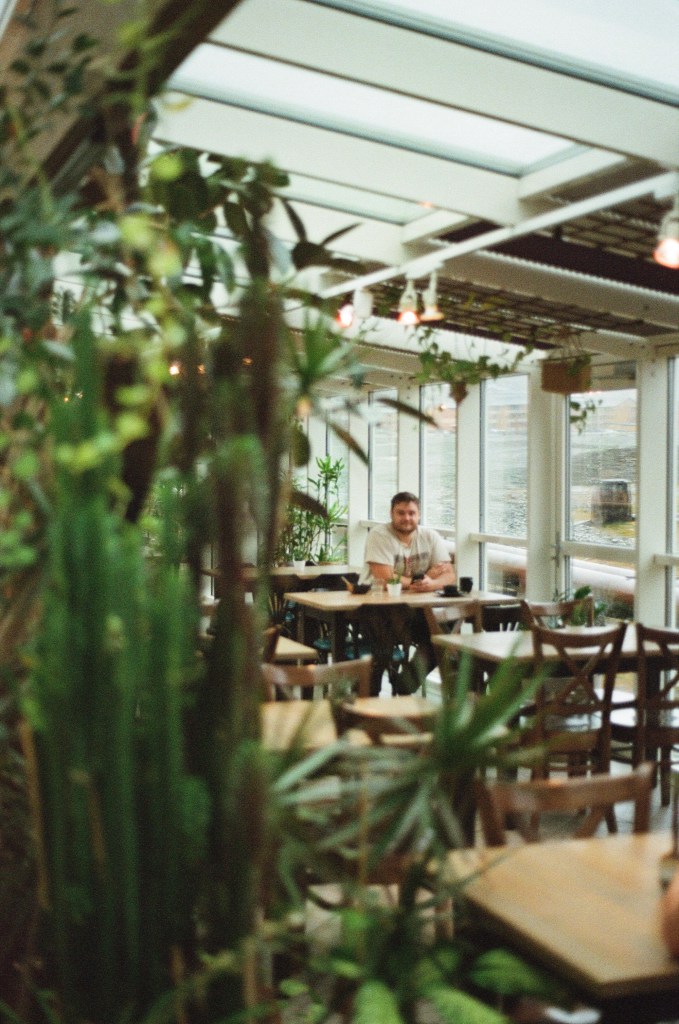 Out of focus greenery from indoor plants fill the left of the scene. In the background a handsome man sits at a table smiling at the camera. They are inside an orangery building and the outside can just be made out through the windows. 