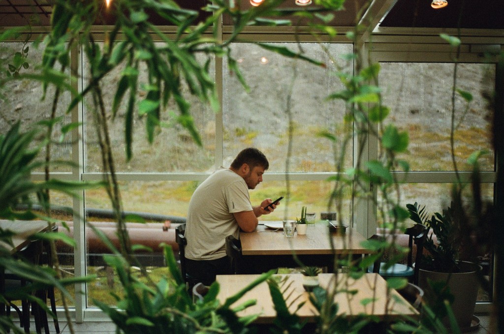 A man sits looking athis phone framed by trailing plants. 