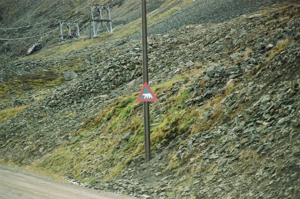 A polar bear warning sign can be seen on a post. 