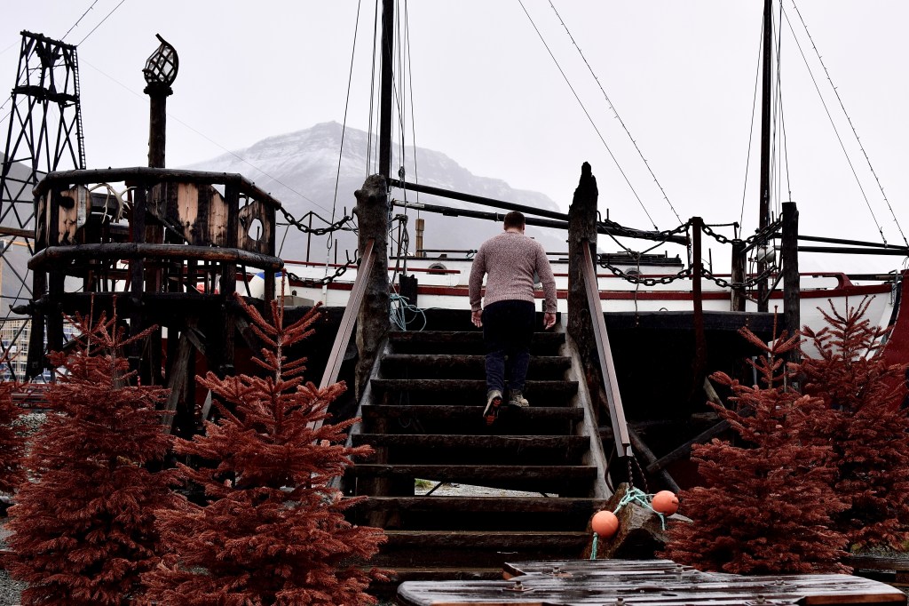 A man walks up some stairs to a yacht, In the foreground are old Christmas trees that have turned russet in colour. 