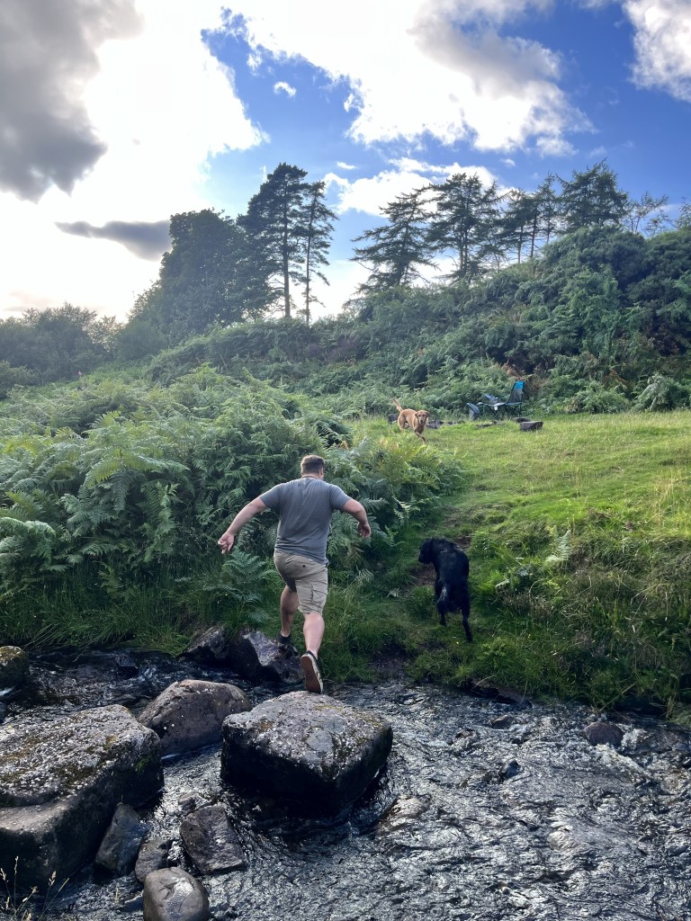 There is a river and back with large steeping stones across the river. On the far bank there is a flatcoated retriever and labrador. The mid scene shows a 30 year old male leaping across from the last stepping stone onto the far bank.