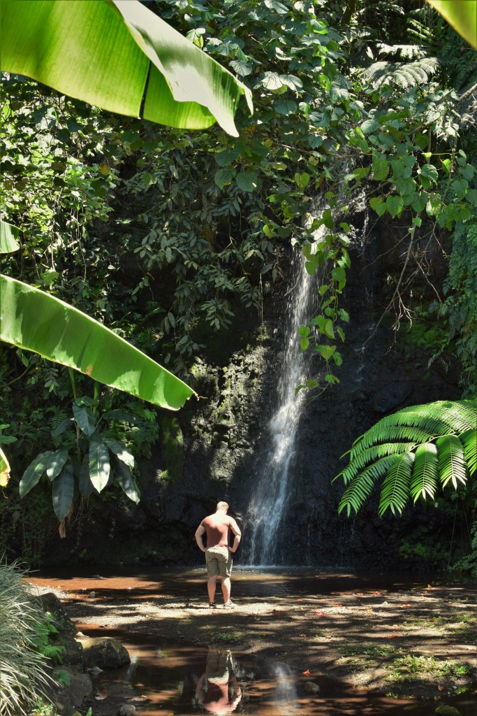 A man stands in front of a waterfall, his reflection can be seen in the water and he is framed by foliage. 