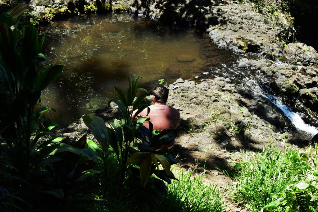 A man sits in front of a small pool of water with a waterfall falling away from the right of the picture. 