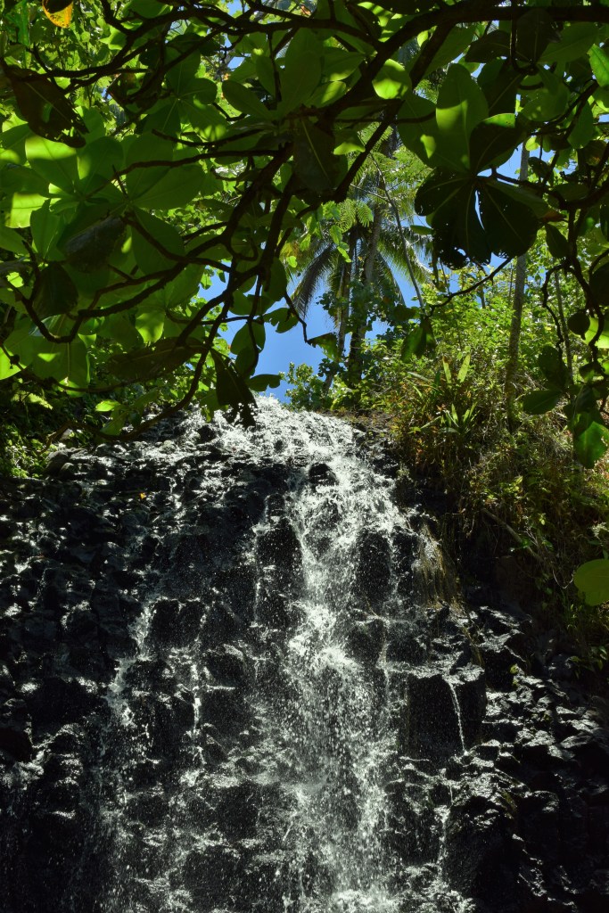 A waterfall cascades down a craggy front. 