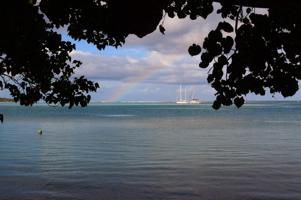 A tree frames a view overlooking a couple of yachts, clear blue water and a rainbow. 