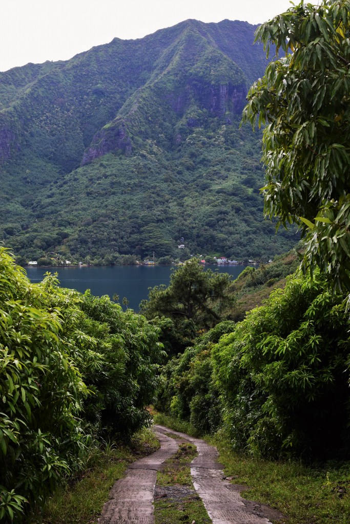 A lush green landscape with a blue water bay and paved road. 