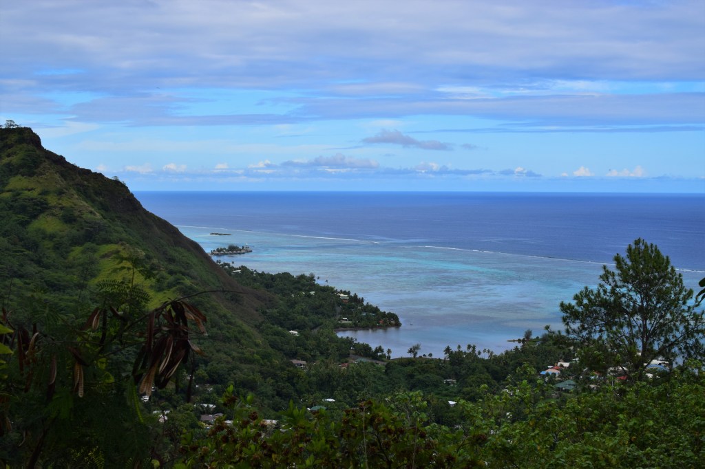 A shallow pale blue ring around a lush green island can  be seen with a small wave line and then open blue seas as far as the eye can see. 