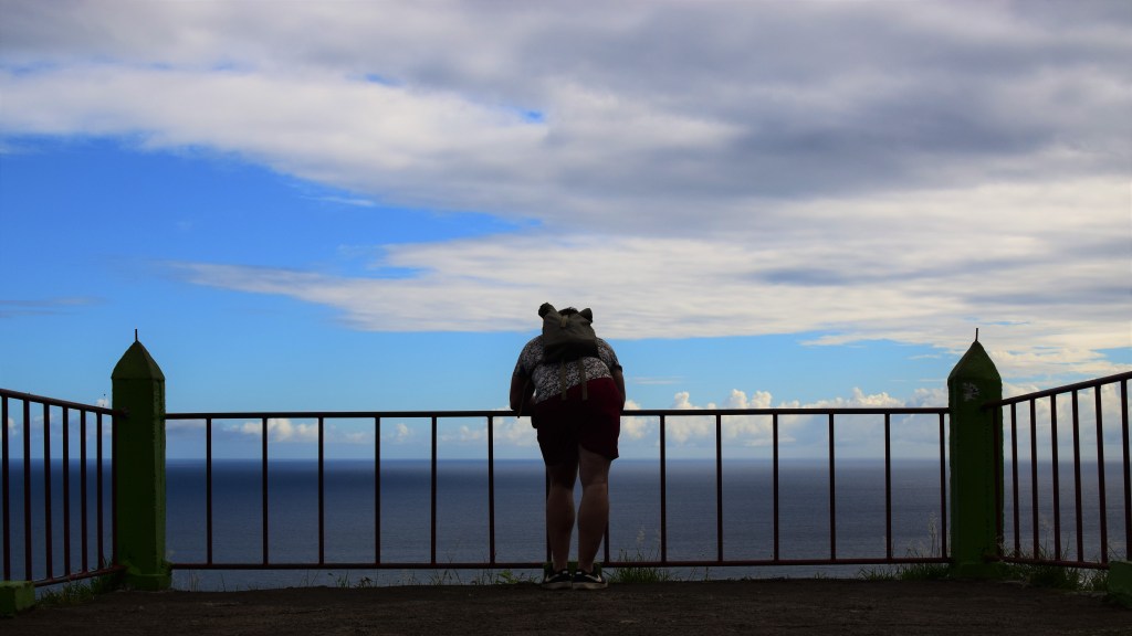 A man leans against a railing on a viewing platform.