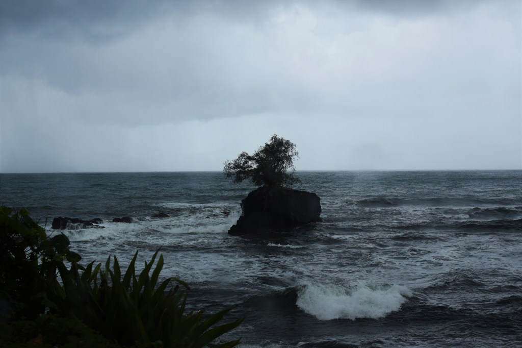The sky is filled with clouds and the scene looks out towards the choppy sea with a lone tree on a rocky outcrop. 