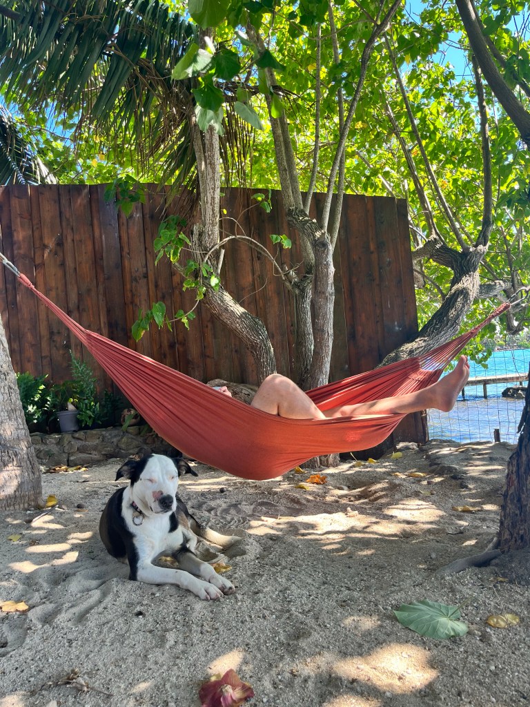A man lounges in a hammock whilst a dog is lying beside him eye closed and looking content.