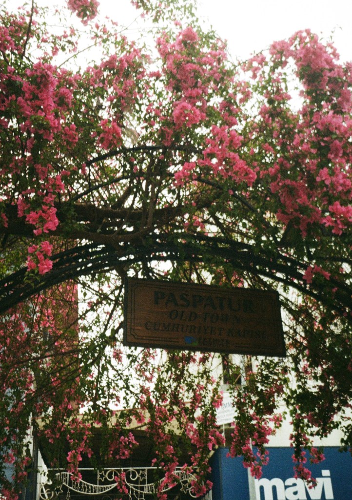 A close up a pink floral arch.