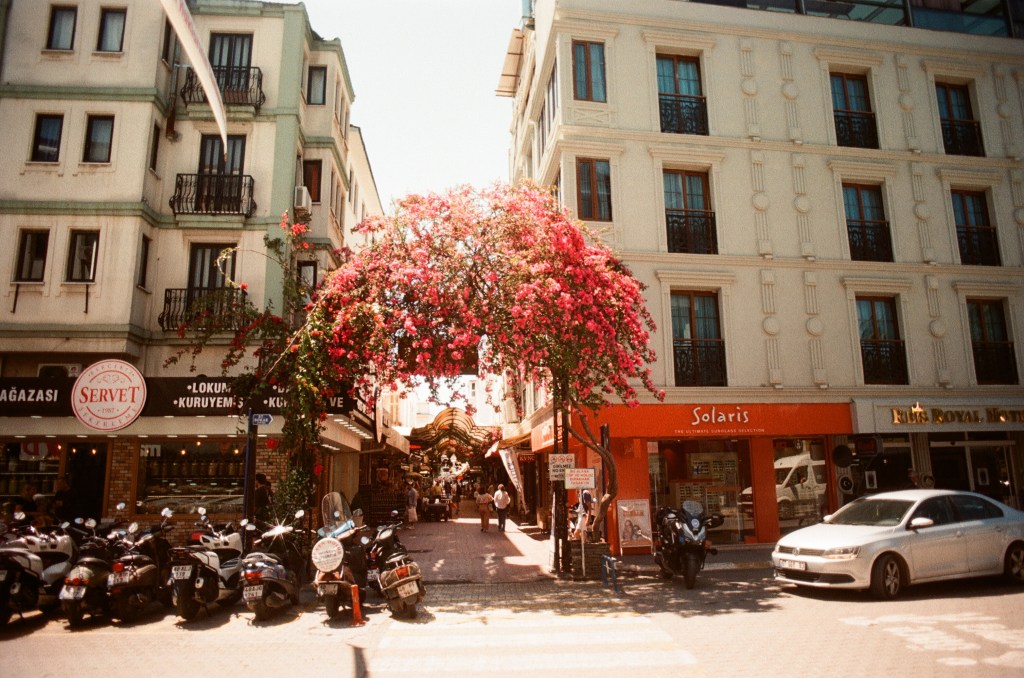 A street with a large floral arch in front is seen.