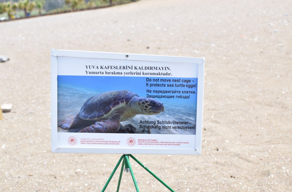 A sign with a turtle on it can be seen with a light sandy beach behind it.
